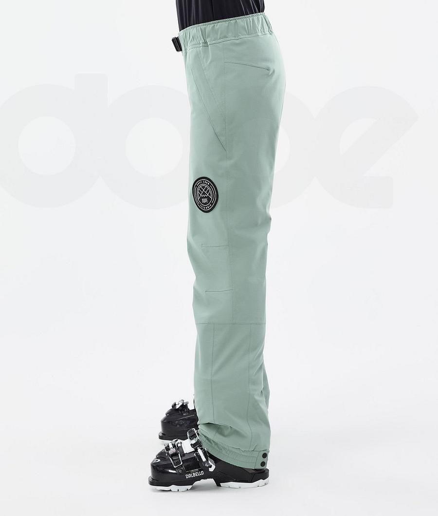 Dope Blizzard W Faded Ski Broek Dames Groen | NLRW3318