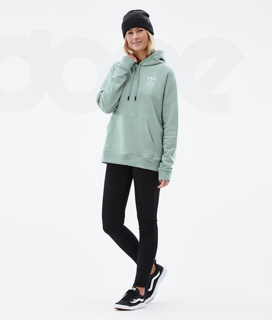 Dope Common W Summit Hoodie Dames Groen | NLFM3840